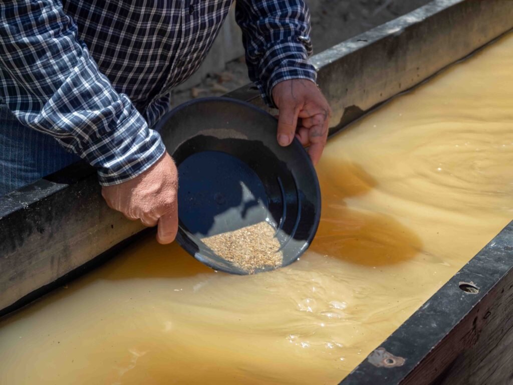 La Fiebre del Oro en California 2 AdobeStock 228307558