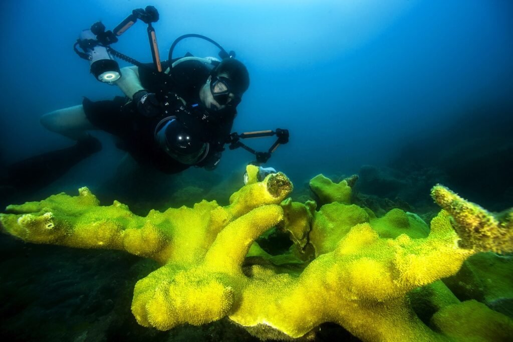¿Es Una Cuba una isla rodeada de oro? 4 sea water ocean camera diving underwater 1128552 pxhere.com